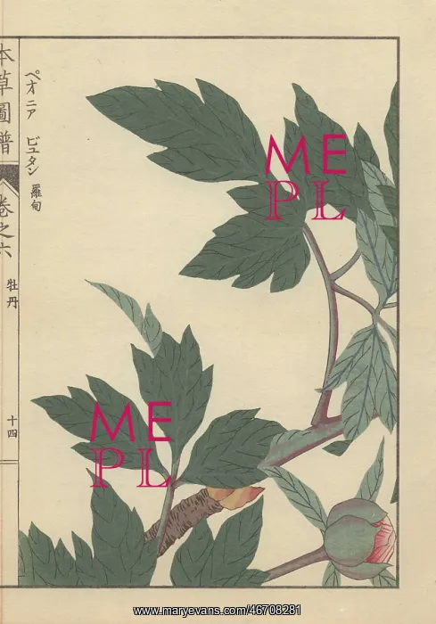 : Green leaves, branches, and peony bud with : Green leaves, branches, and peony bud with