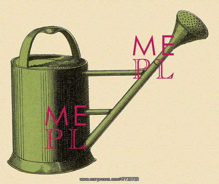  : Green Watering Can