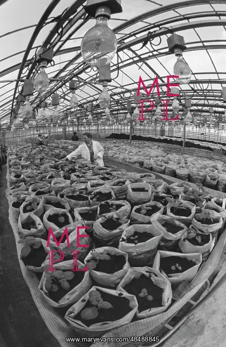 : Greenhouse facility : Greenhouse facility