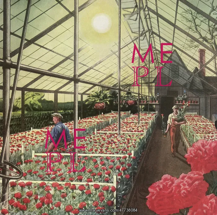  : Greenhouse filled with Flowers