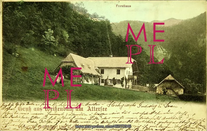 : Greeting card from Weissenbach at the Attersee. Forest : Greeting card from Weissenbach at the Attersee. Forest