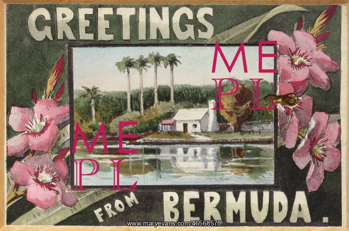: Greetings from Bermuda : Greetings from Bermuda
