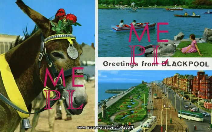 : Greetings from Blackpool postcard : Greetings from Blackpool postcard