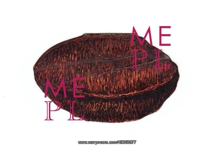  : Greetings card in the shape of an almond