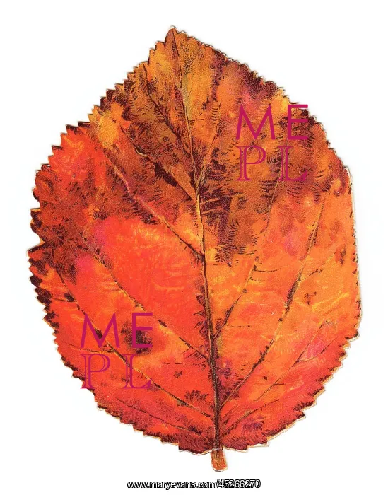  : Greetings card in the shape of an autumn leaf