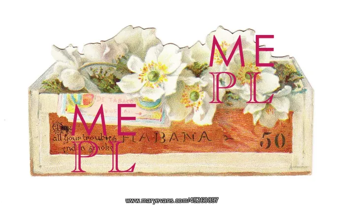 : Greetings card in the shape of a cigar box : Greetings card in the shape of a cigar box