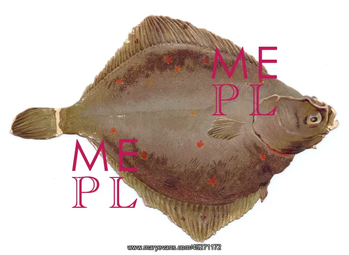 : Greetings card in the shape of flat brown fish : Greetings card in the shape of flat brown fish