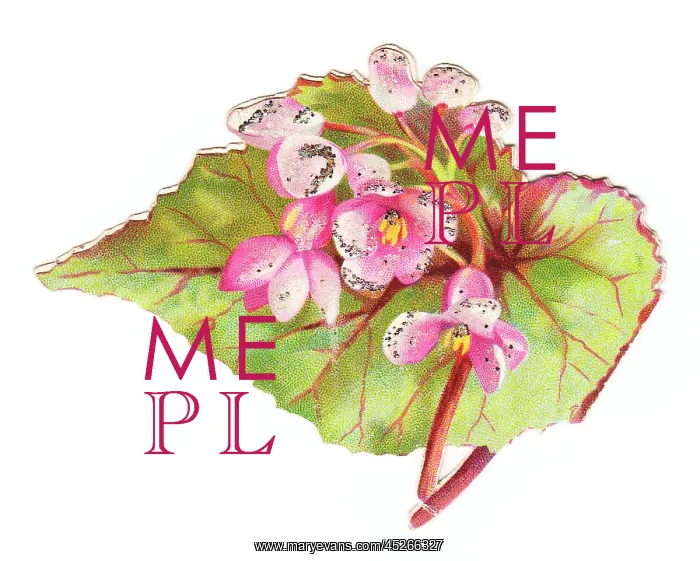 : Greetings card in the shape of a green leaf with flowers : Greetings card in the shape of a green leaf with flowers