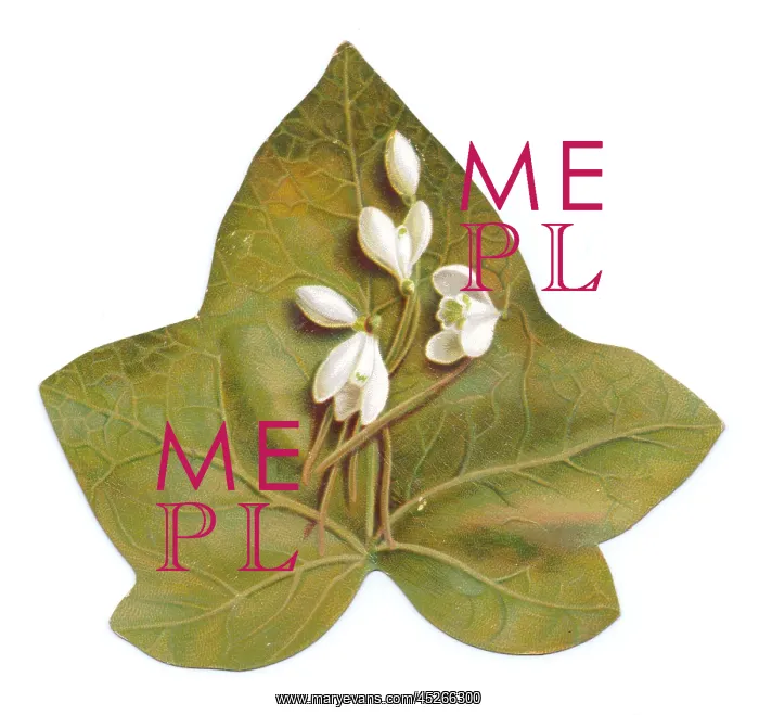  : Greetings card in the shape of a green leaf with snowdrops