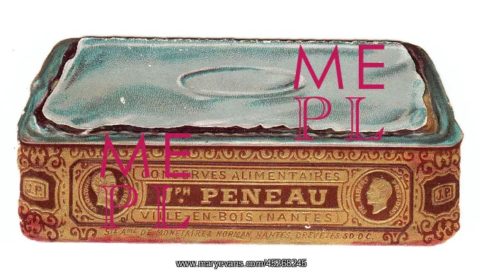 : Greetings card in the shape of a sardine tin : Greetings card in the shape of a sardine tin