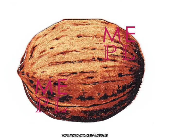: Greetings card in the shape of a walnut : Greetings card in the shape of a walnut