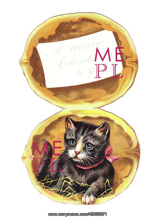 : Greetings card in the shape of a walnut : Greetings card in the shape of a walnut