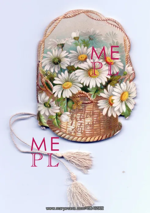 : Greetings card, white daisies in a basket : Greetings card, white daisies in a basket