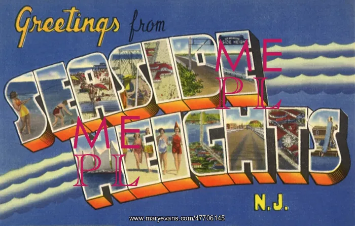  : Greetings Postcard