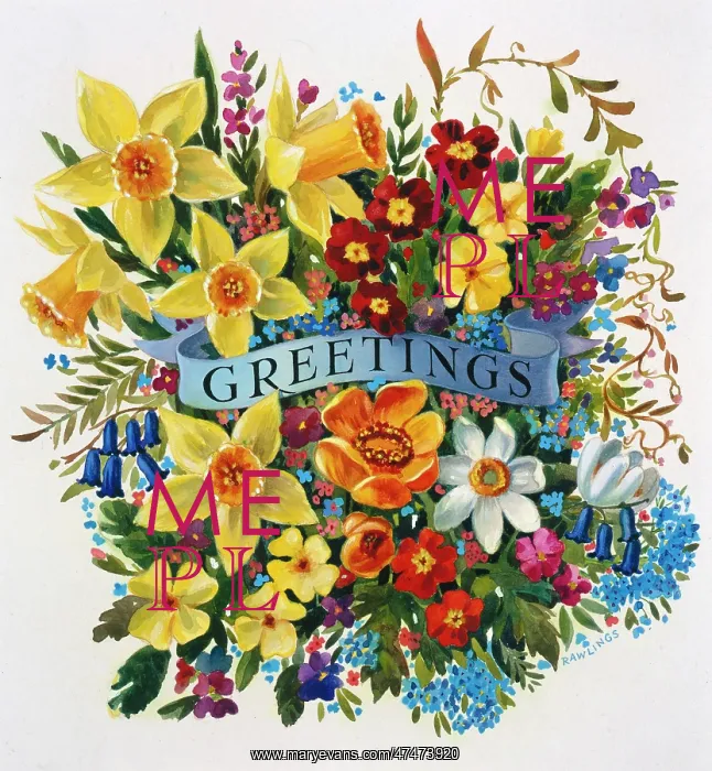 : Greetings with spring flowers : Greetings with spring flowers