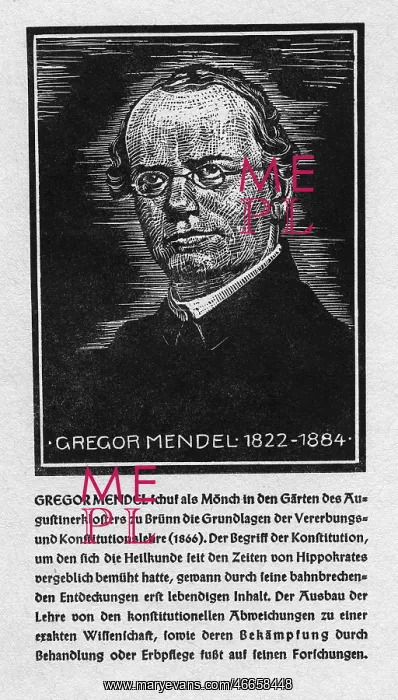 : Gregor Johann Mendel : Gregor Johann Mendel