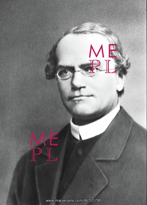 : Gregor Mendel : Gregor Mendel