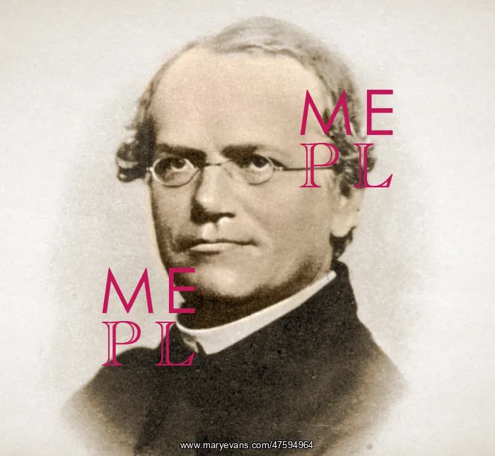 : Gregor Mendel, Father of Genetics : Gregor Mendel, Father of Genetics