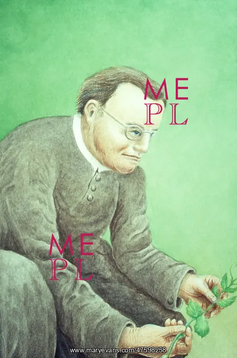 : Gregor Mendel, Father of Genetics : Gregor Mendel, Father of Genetics