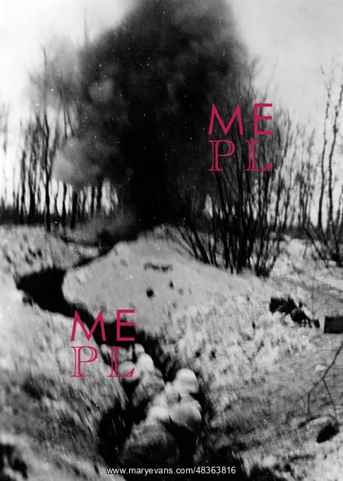 : Grenade explosion at Voronezh, 1943 : Grenade explosion at Voronezh, 1943