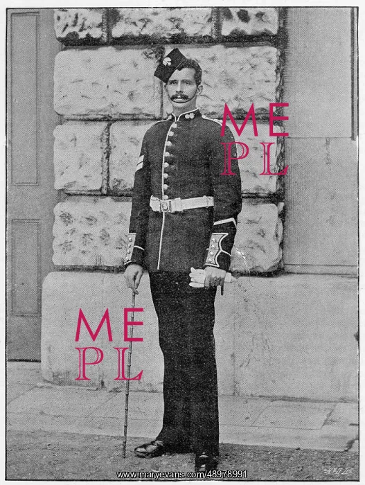 : Grenadier Guards : Grenadier Guards