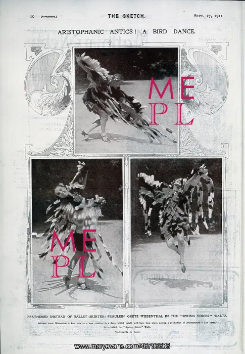 : Grete Wiesenthal, Austrian dancer, in feathered costume : Grete Wiesenthal, Austrian dancer, in feathered costume