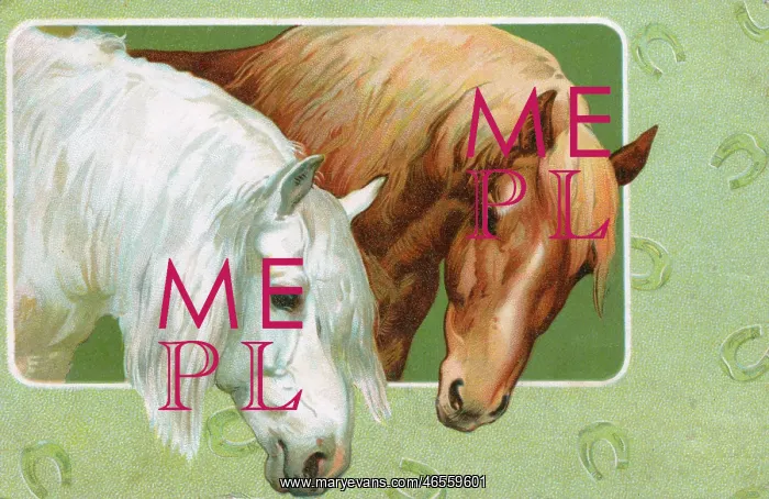 : A Grey and a Chesnut horse : A Grey and a Chesnut horse