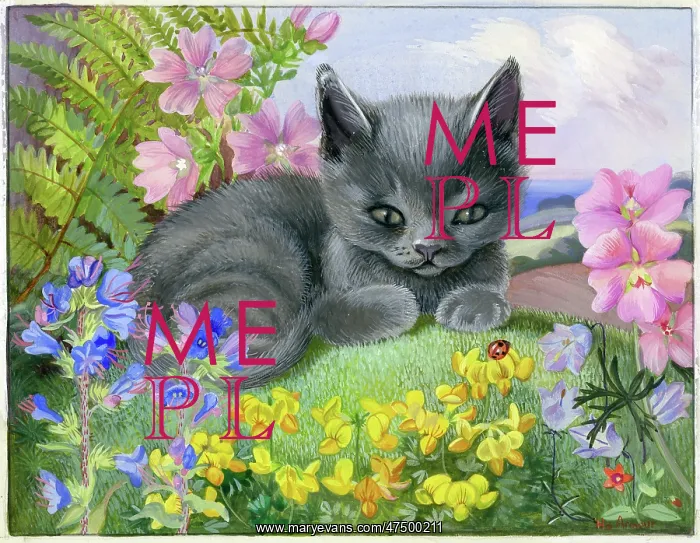: Grey kitten on grass looking at a ladybird : Grey kitten on grass looking at a ladybird