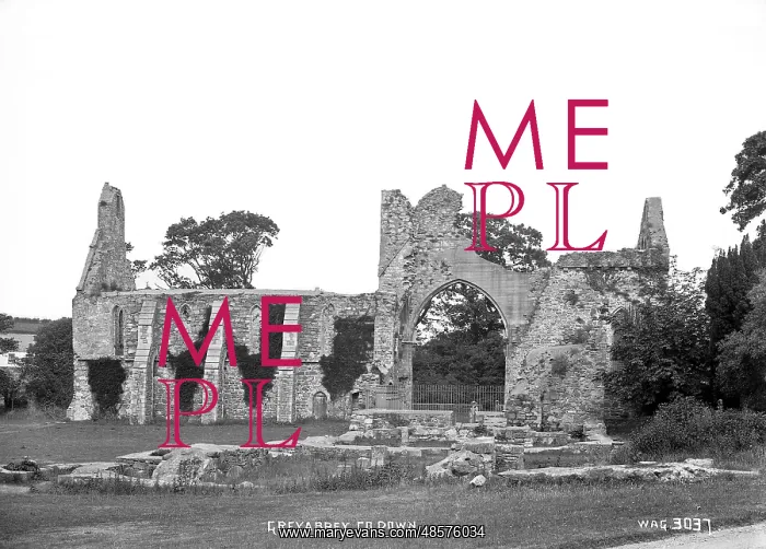 : Greyabbey, Co. Down : Greyabbey, Co. Down