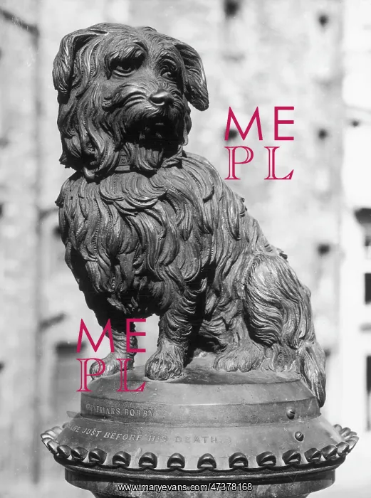: GREYFRIARS BOBBY : GREYFRIARS BOBBY