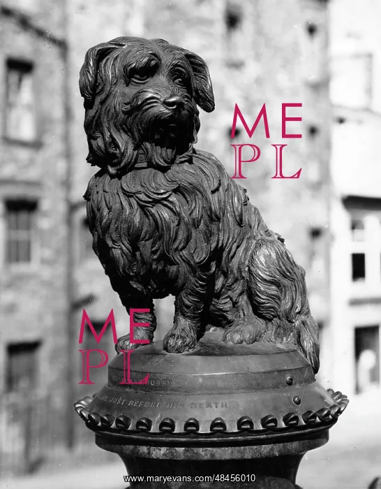 : GREYFRIARS BOBBY : GREYFRIARS BOBBY