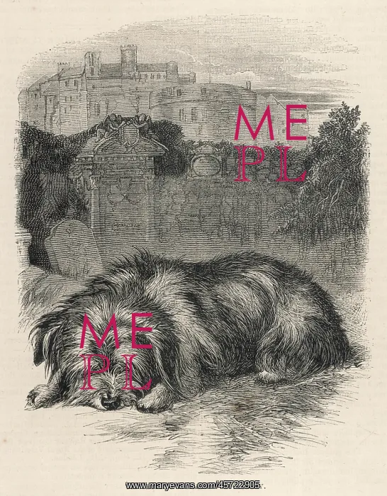 : Greyfriars Bobby, Edinburgh, Scotland : Greyfriars Bobby, Edinburgh, Scotland