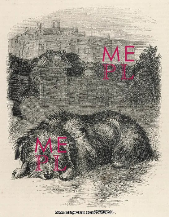 : Greyfriars Bobby, Edinburgh, Scotland : Greyfriars Bobby, Edinburgh, Scotland