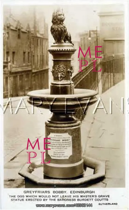 : Greyfriars Bobby memorial : Greyfriars Bobby memorial