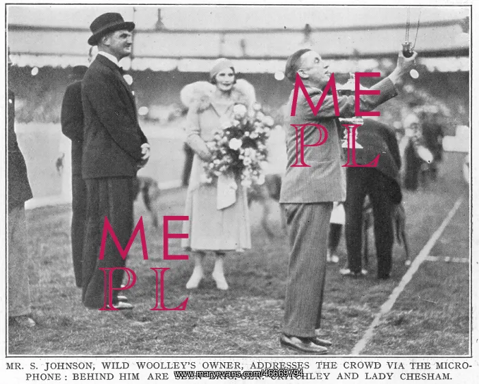 : Greyhound Derby winner Mr Johnson : Greyhound Derby winner Mr Johnson