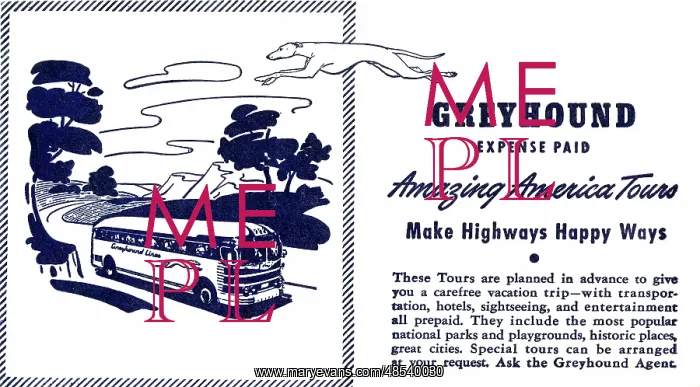 : Greyhound Lines, USA, ticket wallet : Greyhound Lines, USA, ticket wallet
