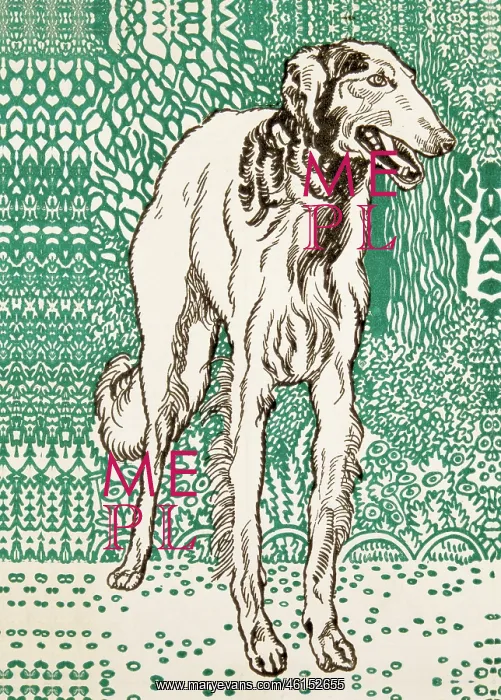 : Greyhound by Moriz Jung : Greyhound by Moriz Jung