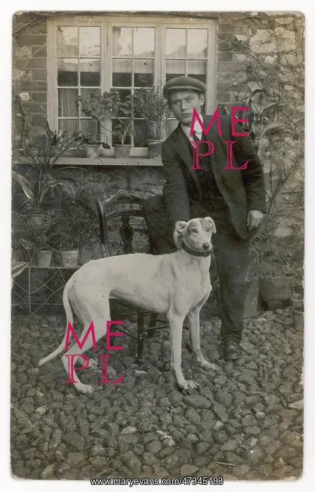  : GREYHOUND AND OWNER