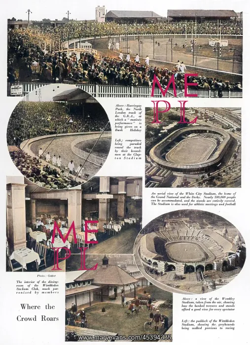: GREYHOUND STADIUMS IN LONDON : GREYHOUND STADIUMS IN LONDON