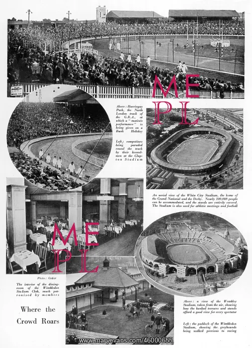 : GREYHOUND STADIUMS IN LONDON : GREYHOUND STADIUMS IN LONDON