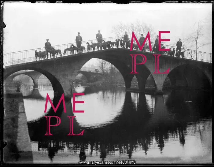 : Greyhounds on a Bridge : Greyhounds on a Bridge