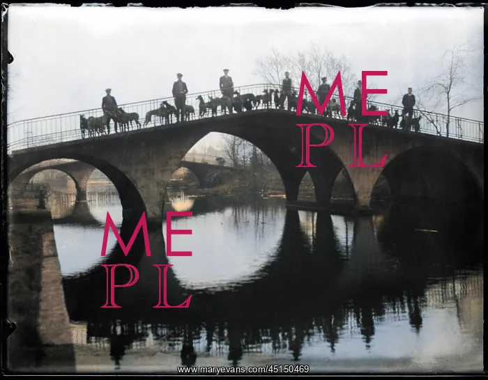 : Greyhounds on a Bridge : Greyhounds on a Bridge