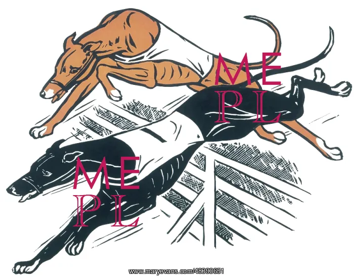  : Greyhounds over hurdles
