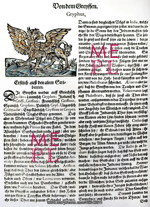 : Griffin. superstition, mythological creatures, griffin, mixture of eagle : Griffin. superstition, mythological creatures, griffin, mixture of eagle
