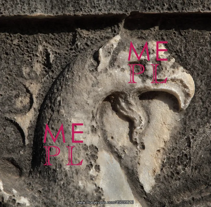 : Griffin relief, Didyma, Aydin, Turkey : Griffin relief, Didyma, Aydin, Turkey