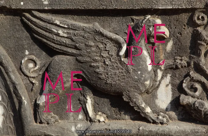 : Griffin relief, Didyma, Aydin, Turkey : Griffin relief, Didyma, Aydin, Turkey