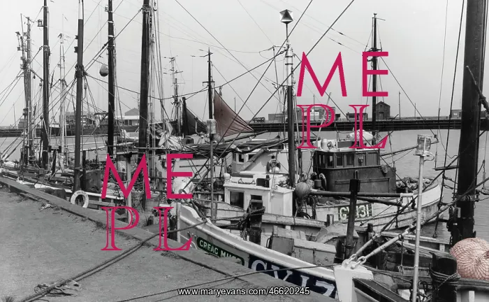  : Grimsby, Fish Docks c1965