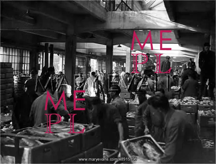 : GRIMSBY FISH MARKET : GRIMSBY FISH MARKET