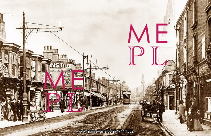  : Grimsby Freeman Street early 1900s