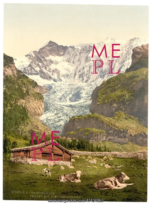 : Grindelwald, chalet and Vischerhorn, Bernese Oberland, Switz : Grindelwald, chalet and Vischerhorn, Bernese Oberland, Switz